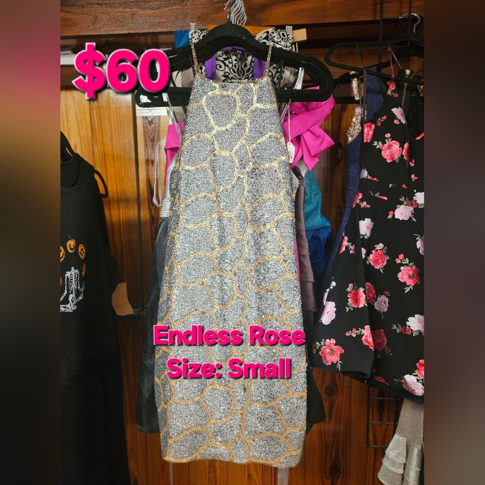 Endless Rose Sequin Dress in Silver and Gold